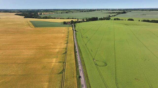 Aerial view of fields and road, Germany.