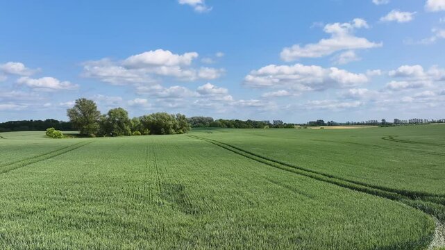 Aerial view of green field with trees, Germany.