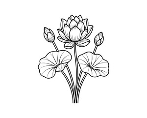 Blooming lotus flower with buds vector illustration