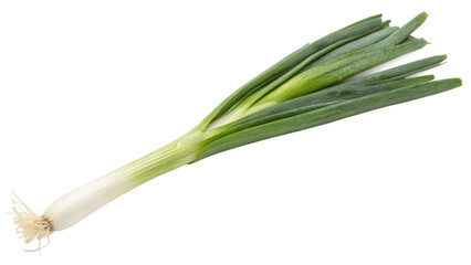 spring onion, isolated transparent background