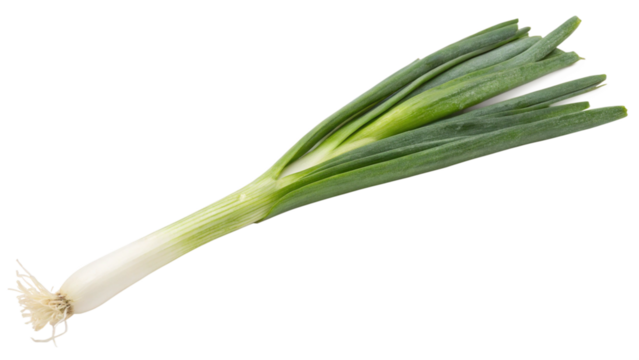 spring onion, isolated transparent background