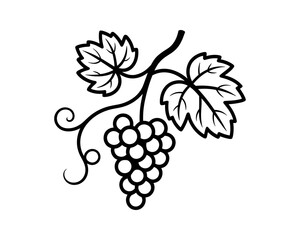 A bunch of grapes with leaves vector illustration
