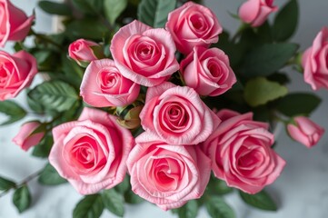 Overhead Pink Roses: Natural Cosmetic Beauty