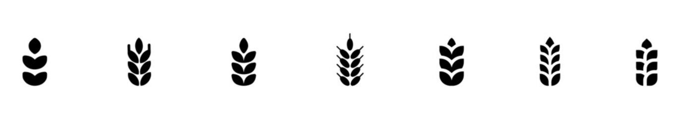 Wheat spike, grain icon set. Vector Illustration. EPS 10