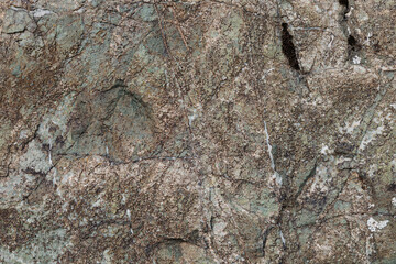 vista macro di una superficie di roccia naturale dalle sfumature di grigio chiaro sbiadito