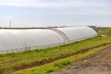 Long Polytunnel Greenhouse Growing Vegetables Farm Spring Day