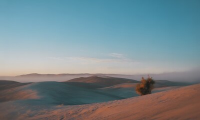 Fototapeta premium A solitary shrub sits atop a sand dune in a desert landscape under a clear blue sky, with distant hills.