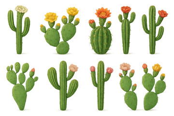 Blooming cacti array illustration: colorful desert succulent composition for nature-themed designs
