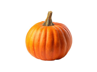 Single orange pumpkin isolated on black background autumn harvest, Isolated On Transparent Background, Png Cut Out
