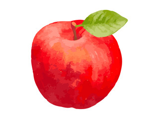 水彩で描いた美味しそうなリンゴのイラスト
