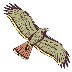 Flying Bird Isolated on White Background Vector Illustration