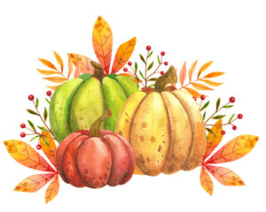 Autumn pumpkin. Watercolor hand painted harvest for Halloween and autumn holidays on white background. Hand drawn for illustration for design, print