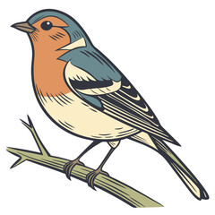 Small Bird Isolated on White Background Vector Illustration