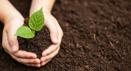 Protecting Our Planet Small Hands, Big Impact on Growing a Greener Future