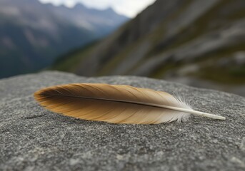 A single brown feather rests on a gray stone surface