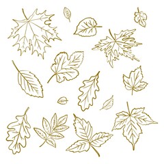 Иллюстрация без названия