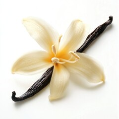 A crystalline vanilla flower presentation ingredient culinary.