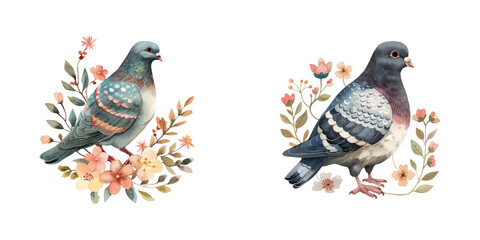 pigeon with flowers watercolor vector illustration