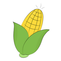 illustration of a corn 