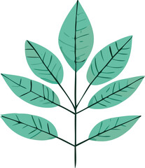A simple illustration of a stylized green leaf stem with multiple oval shaped leaves and dark veins on a white background