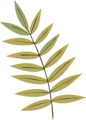 A delicate botanical illustration of a plant stem with multiple elongated pointed leaves in varying shades of green and yellow
