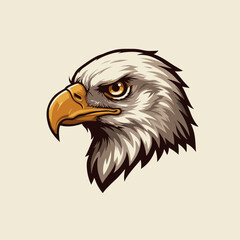 american bald eagle