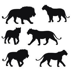 Silhouettes of Lion and Lioness Walking and Standing in Various Poses Vector Illustration for Wildlife and Nature Designs