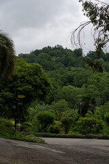 View of the botanical garden in Georgia from a height