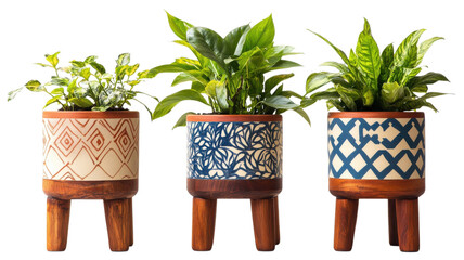 Elegant potted plants in decorative ceramic pots displayed on wooden legs create a vibrant indoor oasis in a modern living space on transparent background
