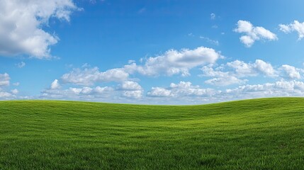 Fototapeta premium Large expanses of green meadows stretch under a white cloud-covered blue sky, showcasing endless natural beauty and are perfect for a variety of activities and landscapes.