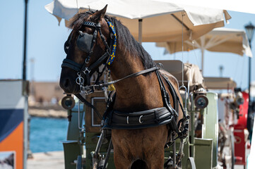 Horse-drawn carriage ready for passengers at the harbor in Chania, Crete, Greece