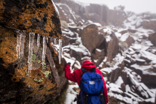 Hiking past icicles on Mount Ossa