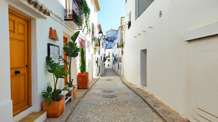 Narrow street in a Spanish village with whitewashed buildings and potted plants. The scene captures the charm of traditional Spanish architecture.