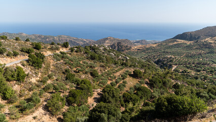 Exploring the scenic landscape of Crete, Greece with olive groves