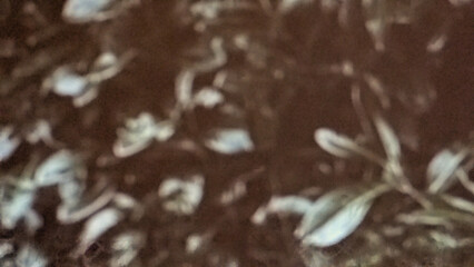 Abstract dark textured background with subtle light blue and white organic shapes, creating a mysterious atmosphere