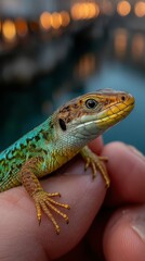 Naklejka premium Colorful lizard perched on hand by the water during twilight in a serene setting