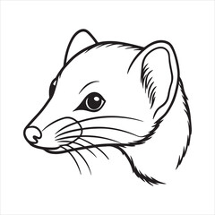 Tiny but Fierce: The Curious World of the Dwarf Mongoose