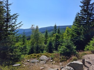 Widok panoramiczny u podnóża Śnieżki