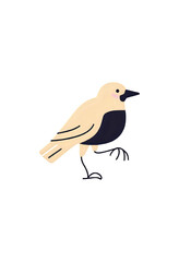 Obraz premium vector illustration of a bird
