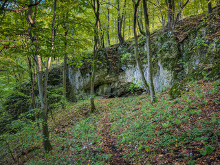 The Felső-forrási Cave lies hidden in a lush forest of the Bükk Mountains, with its modest...