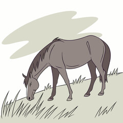 Gray horse grazing on grassy hill with abstract background eating
