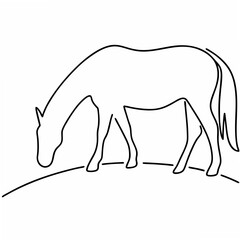 Obraz premium Horse grazing on a white background animal equine