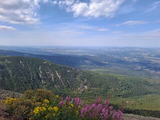 Obraz premium Landscape from the top of mount Sniezka on the border of Czech republic and Poland
