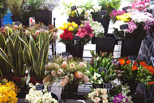 Fototapeta Bunches of colourful flowers and plants for sale in the street