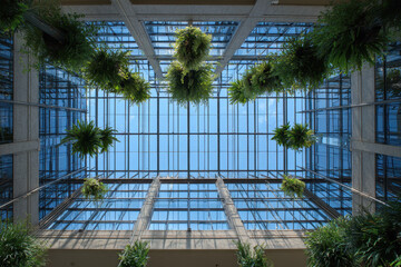 Modern glass atrium with hanging plants and skylight