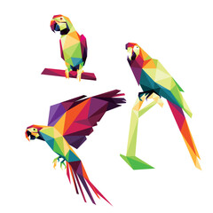 Beautiful Parrot Animal Set in Colorful low poly polygonal.  Flying Parrot Icon in abstract colorful logo. Vector of Perching Parrot collection