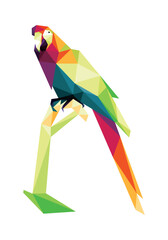 Beautiful Parrot in Colorful Polygonal. Abstract Parrot in Colorful Low Poly. Perching Parrot Illustration Vector.
