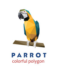 Beautiful parrot in Polygonal Low poly. abstract Parrot Icon Vector. Parrot Illustration Logo.