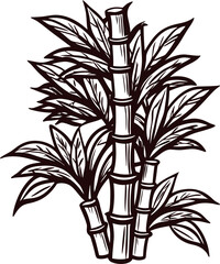 Hand drawn sugarcane plant illustration with leaves and stalks in vintage black and white