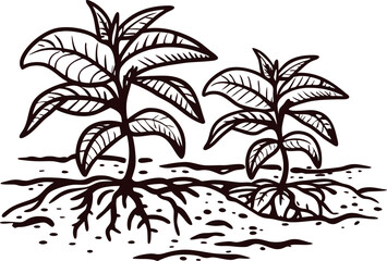 Fototapeta premium Hand drawn illustration of two young plants with visible roots in soil, vintage botanical ink sketch